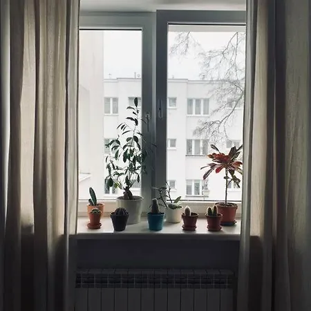 Artystyczny Na żoliborzu * Warszawa